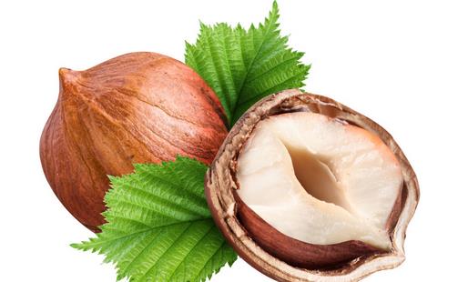 ��֪�����̴��ߵ�ԭ������Щ��