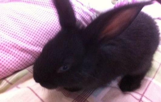 ��ɽ�����ܺ�ˮ����ɽ���õ�ιʳ