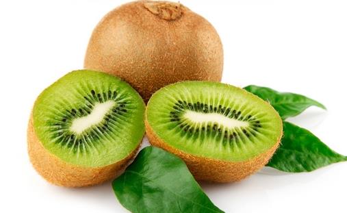 ʳ��������ս����