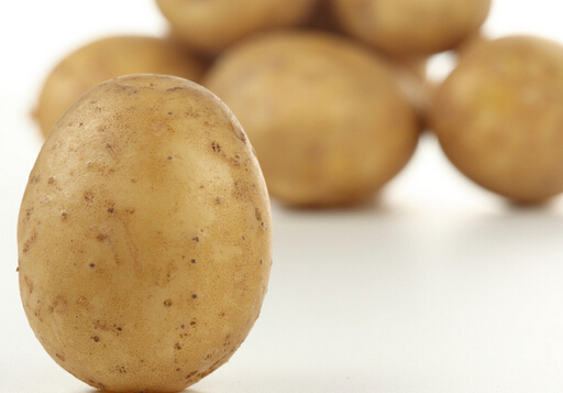 ��������ʳ����-Ƣθ�麮�ɶ�ʳ